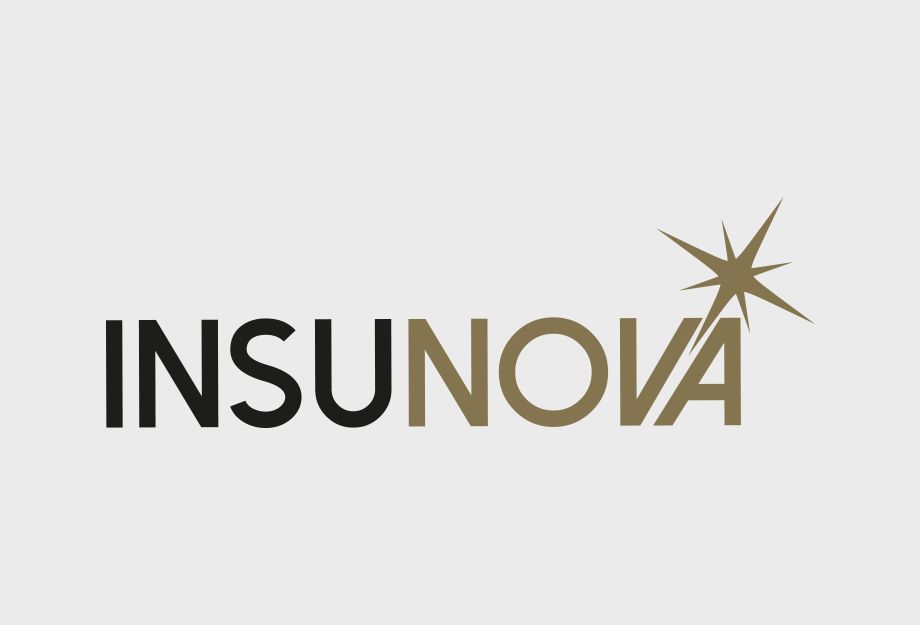 logo insunova hecho por la quinta agencia